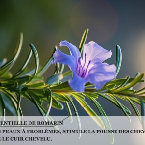 Biothala Masque Crème Purifiant ACNI'SOS – détail