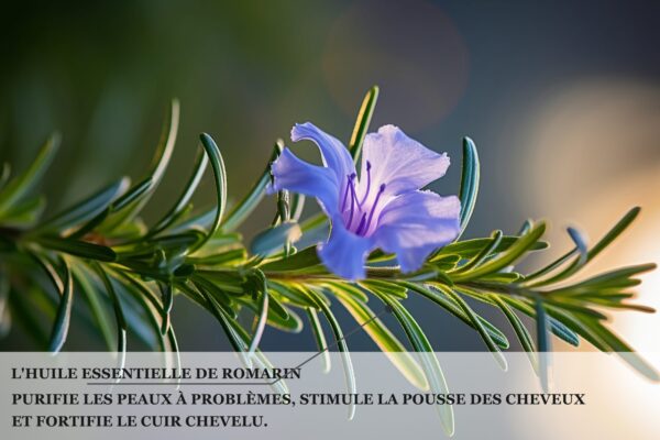 Biothala Masque Crème Purifiant ACNI'SOS – détail