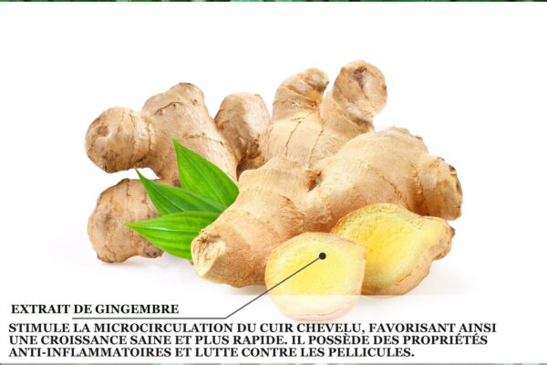 Biothala Super Bain Grow Oil CACTYPRO'HAIR – détail