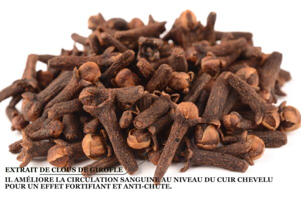 Biothala Shampoing Fortifiant CACTYPRO'HAIR – détail