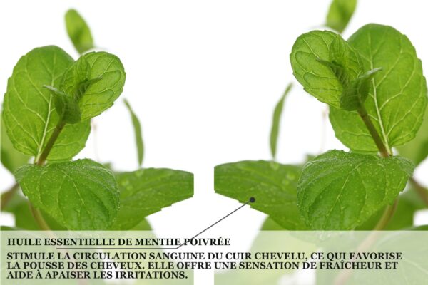 Biothala Shampoing Fortifiant CACTYPRO'HAIR – détail