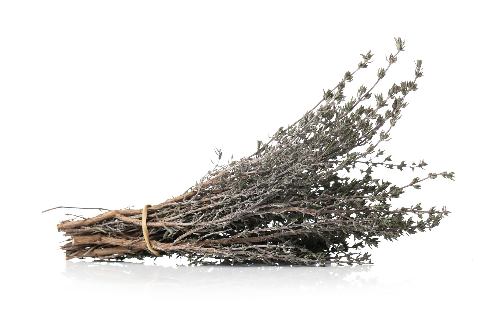 Biothala Huile Essentielle de Thym à Thymol – détail