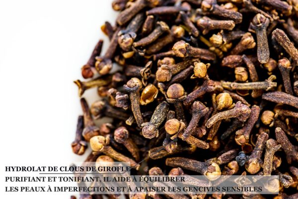 Biothala Crème Pieds Hydra'Vegy – détail
