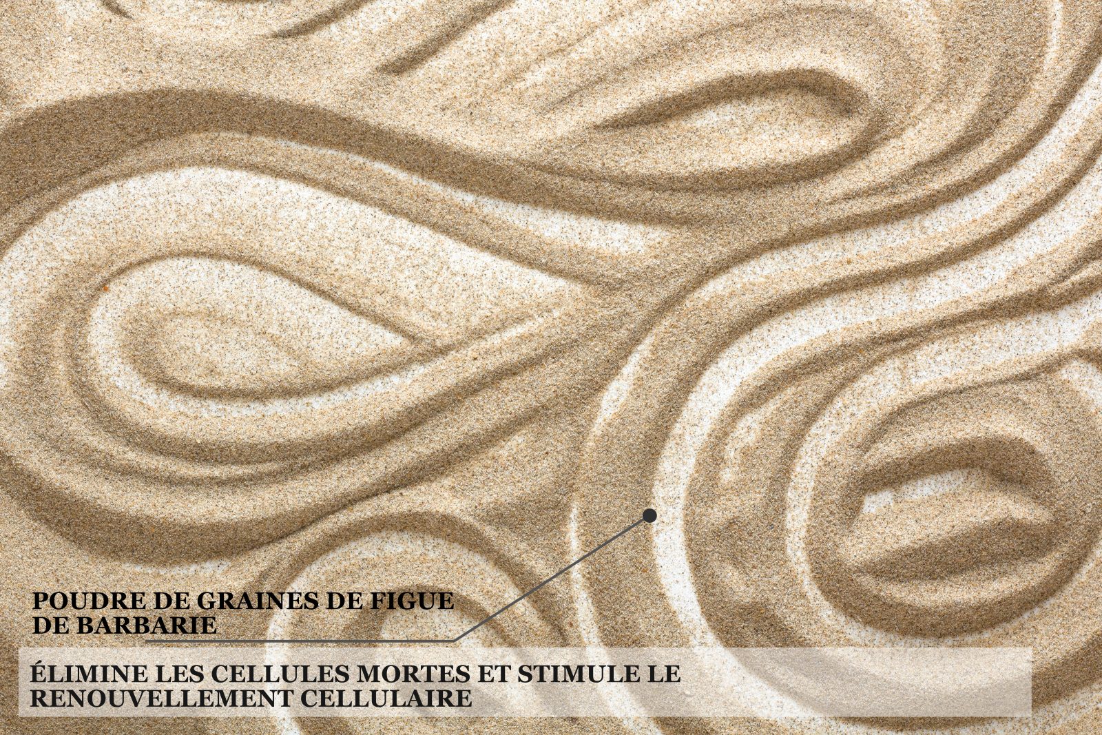 Biothala Gommage Visage Hydra'Vegy – détail
