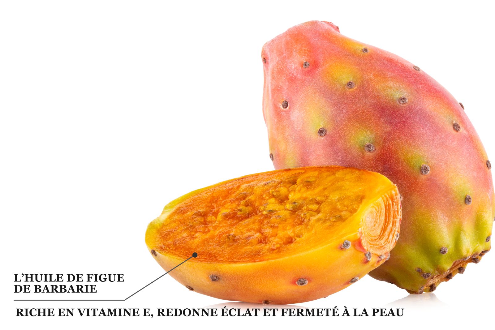 Biothala Lait de Corps Hydra'Vegy – détail