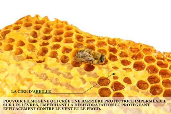 Biothala KISS ME Baume Lèvres – détail