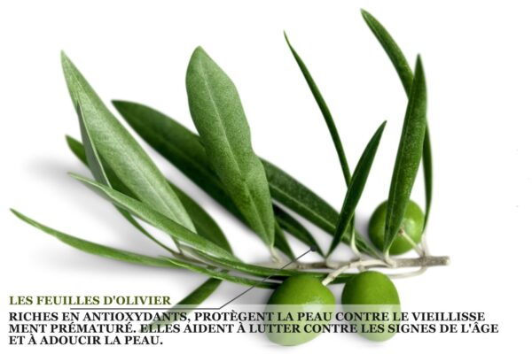 Biothala Masque Crème Purifiant Charbon Actif – détail