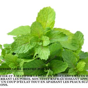 Biothala Masque Crème Argile Verte & Menthe Poivrée – détail