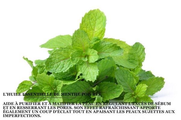 Biothala Masque Crème Argile Verte & Menthe Poivrée – détail