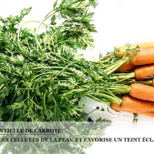 Biothala Crème de Nuit Éclaircissante Shine Act – détail