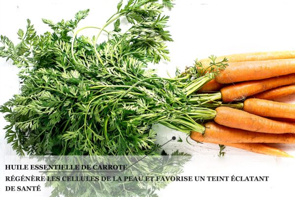 Biothala Crème de Nuit Éclaircissante Shine Act – détail