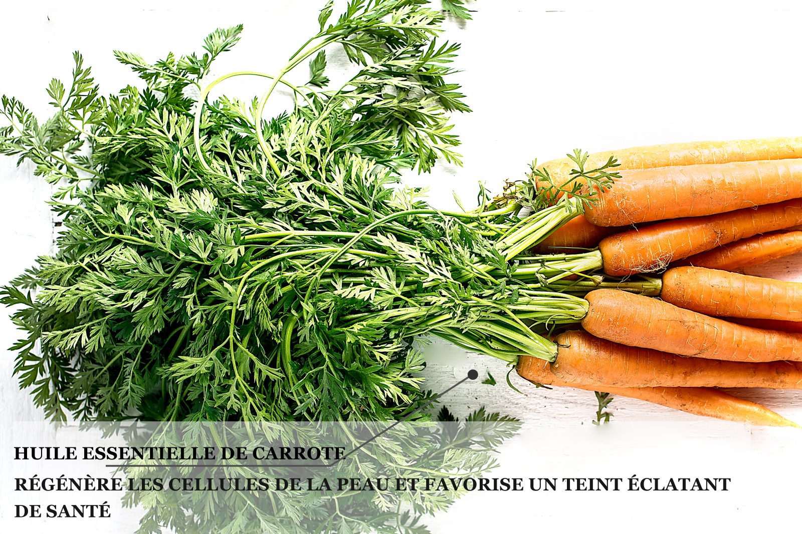 Biothala Crème de Nuit Éclaircissante Shine Act – détail