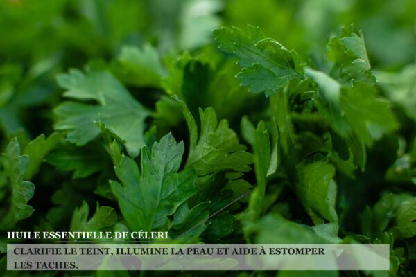 Biothala Sérum Huile Sèche Éclat Shine Act – détail