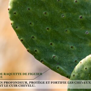 Biothala Shampoing Réparateur Strong Hair – détail