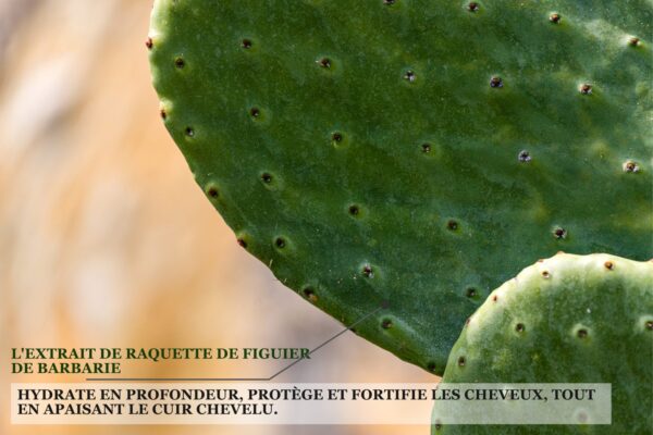 Biothala Shampoing Réparateur Strong Hair – détail