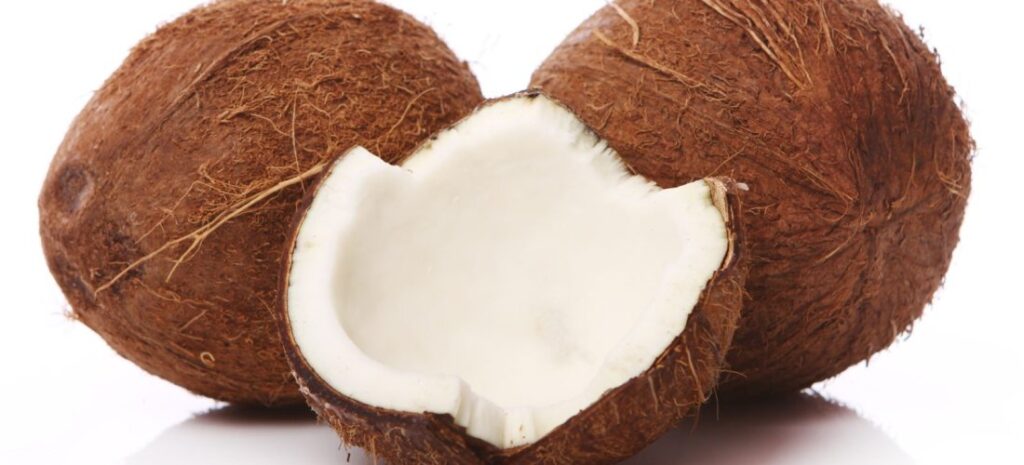 Noix de coco ouvertes
