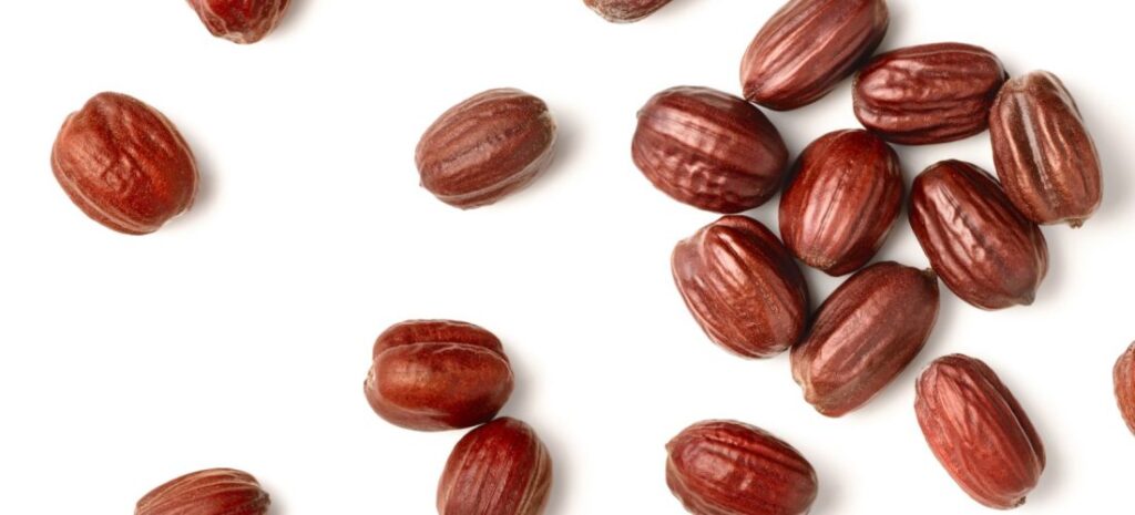 Graines de jojoba