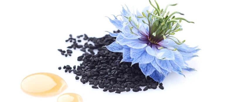 Graines et fleur de nigelle